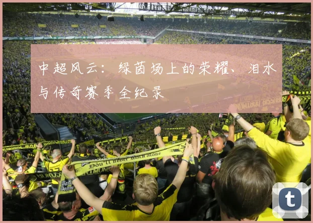 中超风云:绿茵场上的荣耀、泪水与传奇赛季全纪录