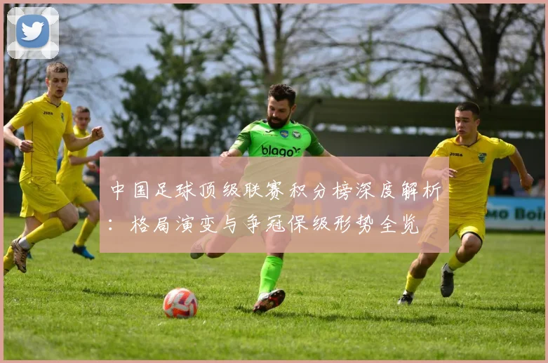 中国足球顶级联赛积分榜深度解析：格局演变与争冠保级形势全览